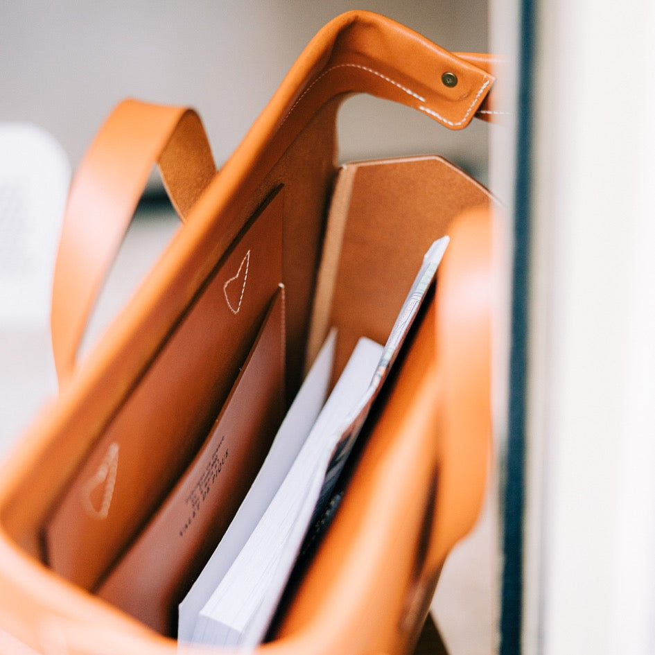 Louis the briefcase ♗