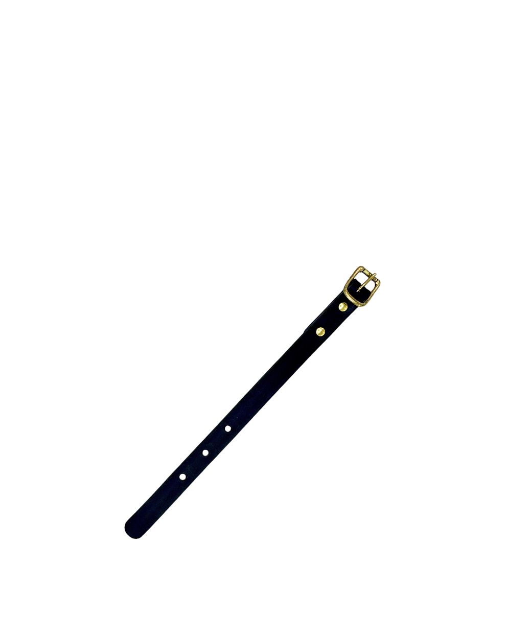 Extension