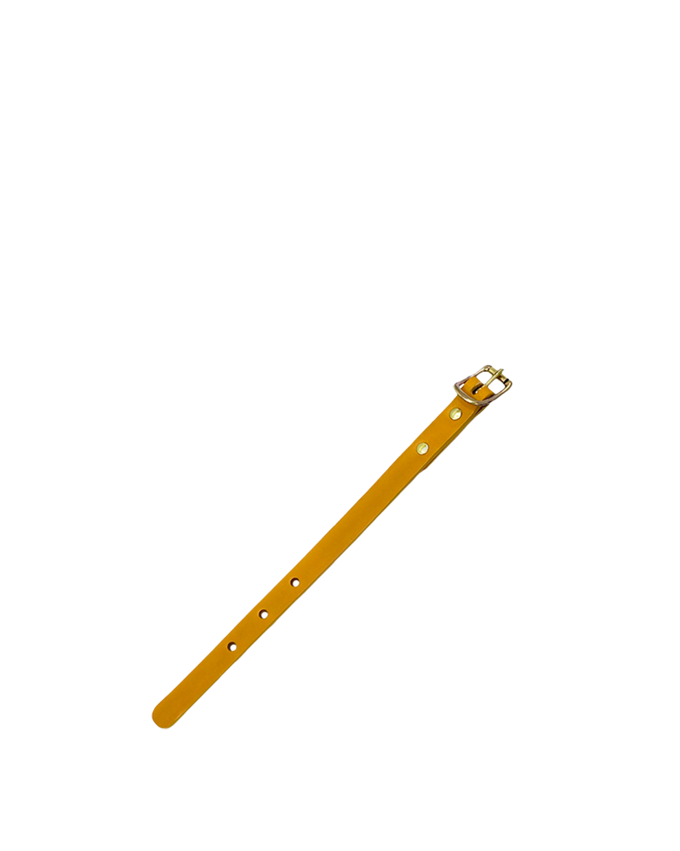 Extension